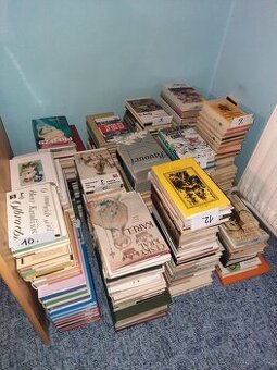 Velké množství knih v dobrém stavu - celek i jednotlivě