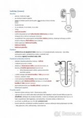 Biologie - Maturitní otázky