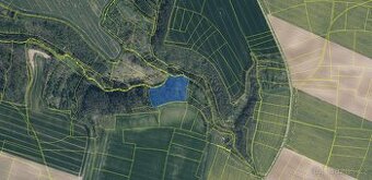 Prodám lesní pozemek v katastrálním území Radouň