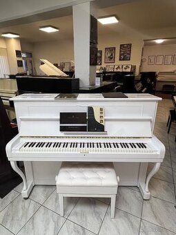 Steinway and Sons se zárukou, doprava zdarma