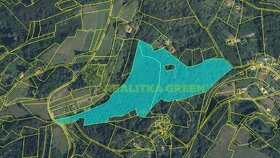 Prodej podílů 2/3 lesních pozemků k.ú. Vsetín, CP 39116 m2 - 1