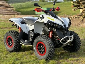 Can-am Renegade 650 XXC T3b MY2018 - 1