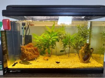 Akvarium - 1