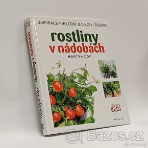 Rostliny v nádobách - 1