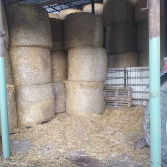 Prodám slámu