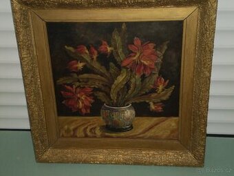 obraz - olej  -  kaktus -  v rámu -  -75 x 75 cm