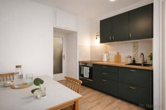 Pronájem bytu 2+1 58 m² Tábor, Brno - Žabovřesky