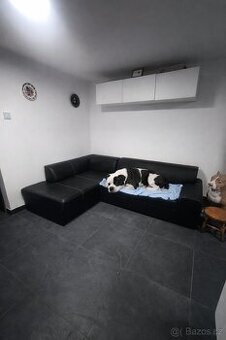 Psí hotel Battle Bullyz