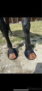 Boty pro koně
