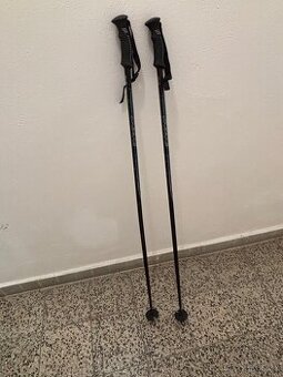 Lyžařské hůlky Arcore USP x 3 135 cm