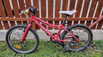 Dětské kolo SUPERIOR PAINT 20" rezervace