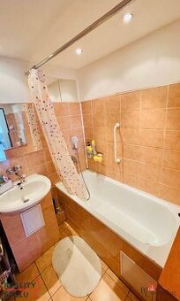 Převod dr. podílu, byty/2+1, 60 m2, Kamenná 5116, 43004 Chom