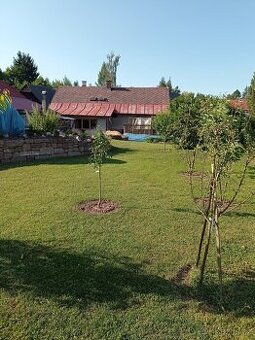 Prodej domu