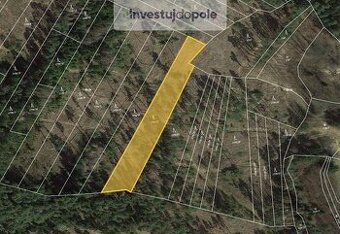 Prodej lesa 3 635 m², Zálezly, ev.č. 2025-08-27-13