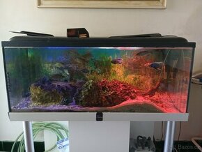 Akvarium diversa i se stojanem 300l