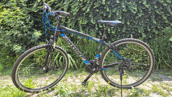 Kolo MaxBike - pánské
