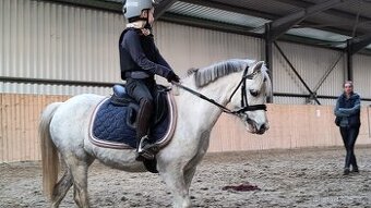 Krásná milá pony na prodej