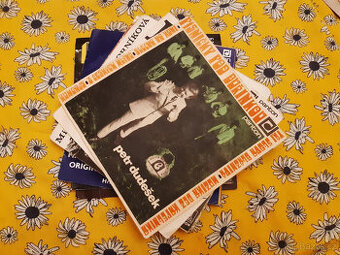 SP deska ružné druhy výběr dle foto