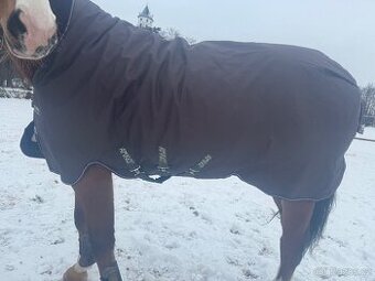 Výběhová deka Amigo 250g, 145 cm