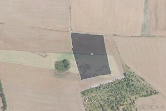 Zemědělská půda, prodej, Velká Bučina, Velvary, Kladno