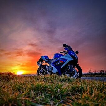 Suzuki GSX-R 1000