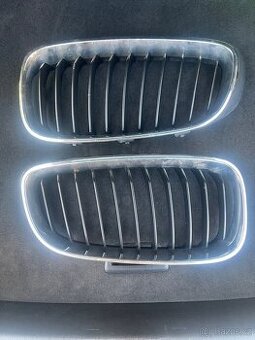 Ledvinky F34