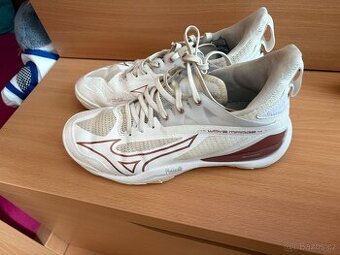 Sálové boty značky Mizuno