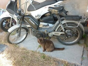 Babetta 210