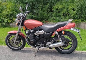 Yamaha YX600 Radian
