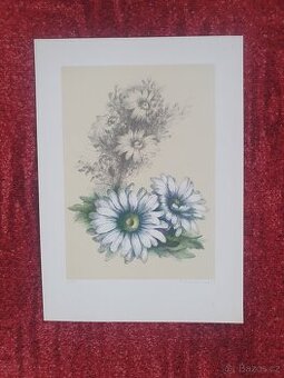 Litografie  č3