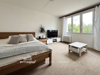 Pronájem bytu 2+kk, 36 m2 v bytovém domě v ulici Skupova v P