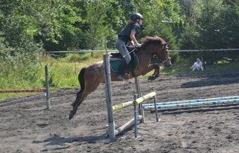 Sportovní pony