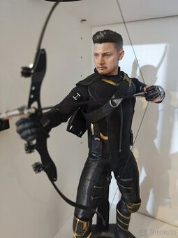 Hot toys hawkey