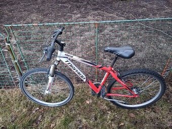 Dámské horské kolo TORPADO