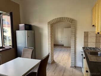 Pronajmu 2kk v Chodove Plane