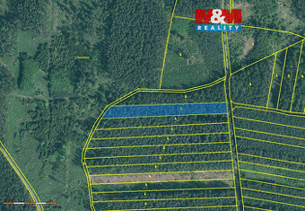 Prodej lesa, 4751 m², Bechyně - 1
