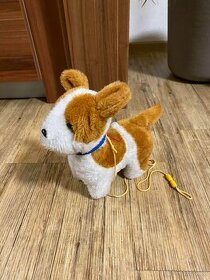 chodící štěkající pejsek pes