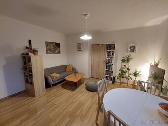 Pronájem bytu 2+kk, 42m2, Praha 6 Břevnov - 1