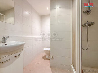 Pronájem bytu 1+1, 38 m², Ostrava, ul. U Haldy