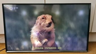FullHD DVB-T2 televize Samsung na opravu nebo pro nenáročné