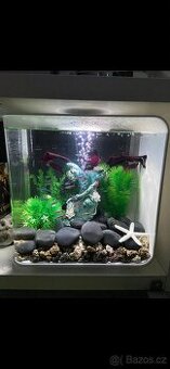 Birb flow 15 l , osvětlení den a noc