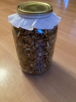 Vlašské ořechy letošní loupané