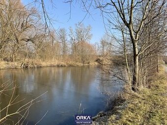 Pronájem rybník, 6 501 m2 - Bystročice