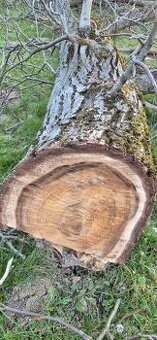 Ořešák – čerstvě pořezané dřevo (cca 0,45 m³)