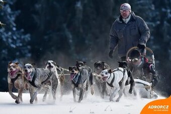 Zážitek - Mushing - jízda se psím spřežením Kaliště
