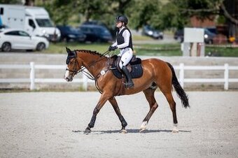 Spolehlivá skoková klisna