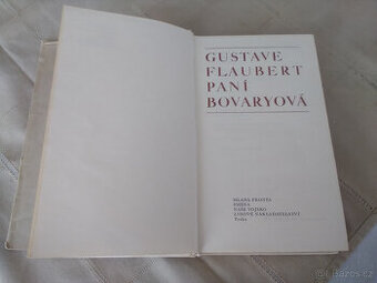 Paní Bováryová