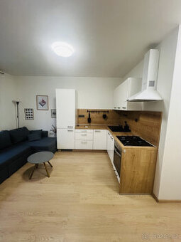 Pronájem bytu 2+kk, Skupova, Plzeň, 14.900Kč/měs, 35 m2