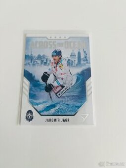 Sportzoo Jaromír Jágr - 1