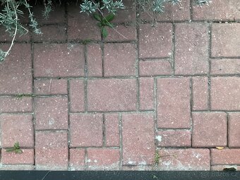 Prodám zámkovou dlažbu cca 30 m2 Best